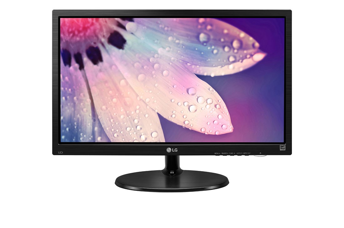 LG 19M38A-B 19” Office Monitor